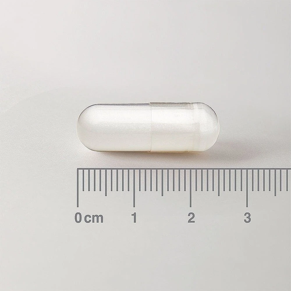 Lamberts L-Ornithine 500mg Caps 60 - Image 4