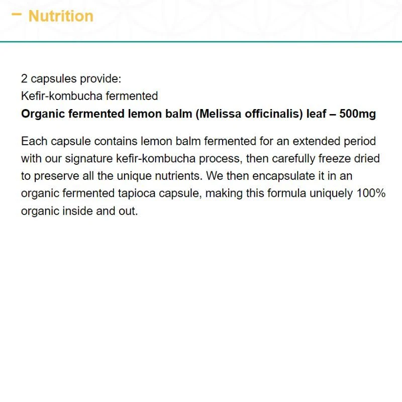 Living Nutrition Organic Fermented Lemon Balm Caps 60 - Image 3