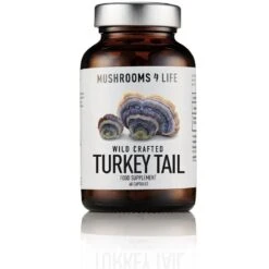 Mushrooms4Life Turkey Tail Capsules 60